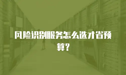 风险识别服务怎么选才省预算？