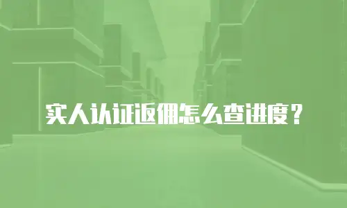 实人认证返佣怎么查进度？
