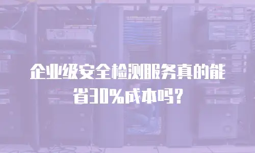 企业级安全检测服务真的能省30%成本吗？