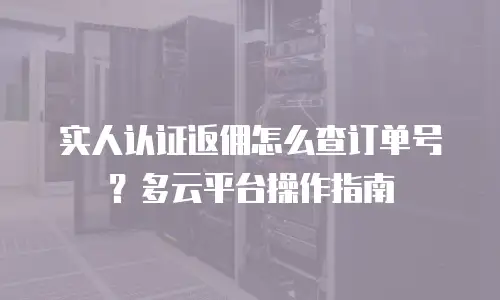 实人认证返佣怎么查订单号？多云平台操作指南