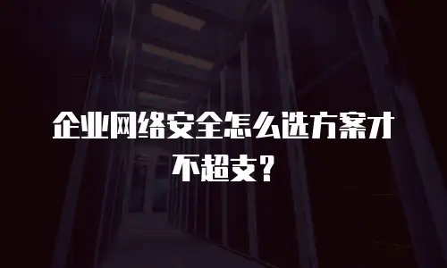 企业网络安全怎么选方案才不超支？