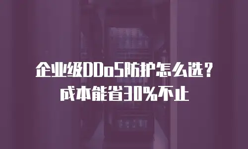 企业级DDoS防护怎么选？成本能省30%不止