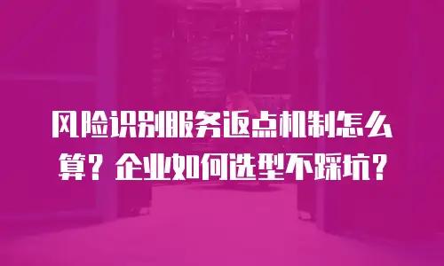 风险识别服务返点机制怎么算？企业如何选型不踩坑？