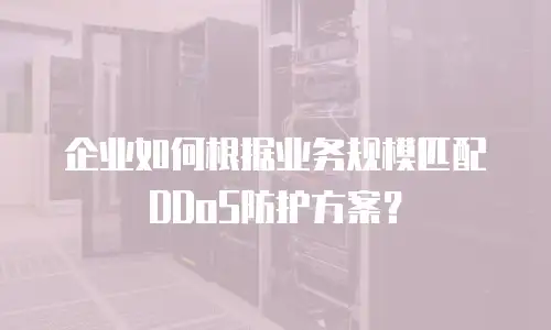 企业如何根据业务规模匹配DDoS防护方案？