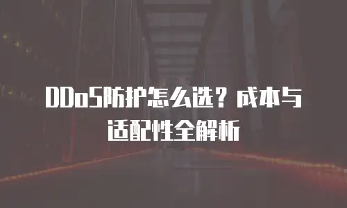 DDoS防护怎么选？成本与适配性全解析