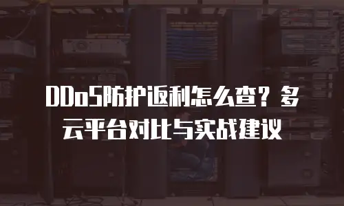 DDoS防护返利怎么查？多云平台对比与实战建议