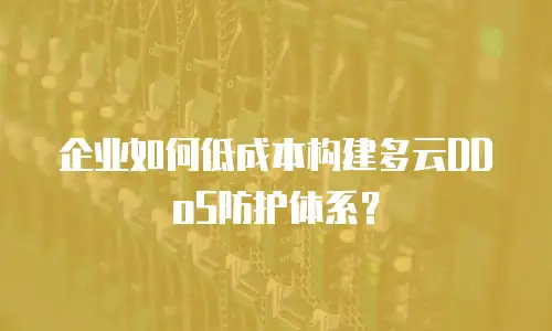 企业如何低成本构建多云DDoS防护体系？