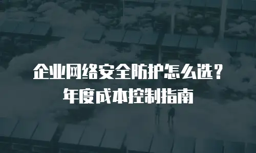 企业网络安全防护怎么选？年度成本控制指南