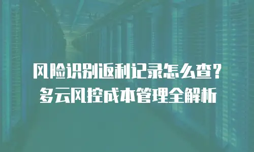 风险识别返利记录怎么查？多云风控成本管理全解析