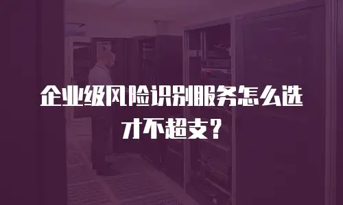 企业级风险识别服务怎么选才不超支？