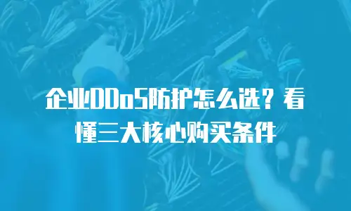 企业DDoS防护怎么选？看懂三大核心购买条件