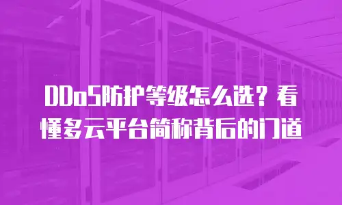 DDoS防护等级怎么选？看懂多云平台简称背后的门道