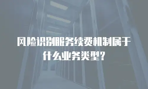 风险识别服务续费机制属于什么业务类型？