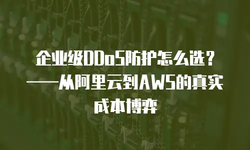 企业级DDoS防护怎么选？——从阿里云到AWS的真实成本博弈