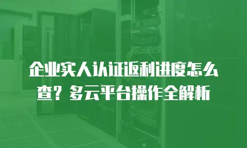 企业实人认证返利进度怎么查？多云平台操作全解析