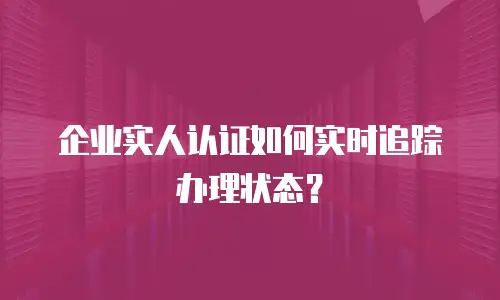 企业实人认证如何实时追踪办理状态？