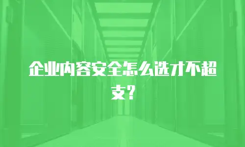企业内容安全怎么选才不超支？