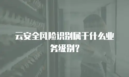 云安全风险识别属于什么业务级别？