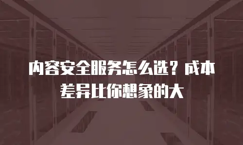 内容安全服务怎么选？成本差异比你想象的大