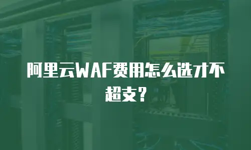 阿里云WAF费用怎么选才不超支？