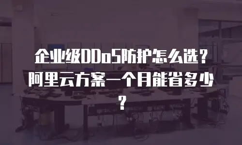 企业级DDoS防护怎么选？阿里云方案一个月能省多少？