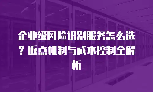 企业级风险识别服务怎么选？返点机制与成本控制全解析