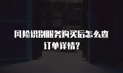 风险识别服务购买后怎么查订单详情？