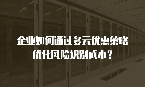 企业如何通过多云优惠策略优化风险识别成本？
