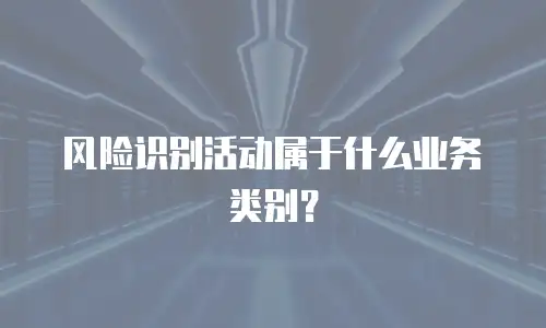 风险识别活动属于什么业务类别？