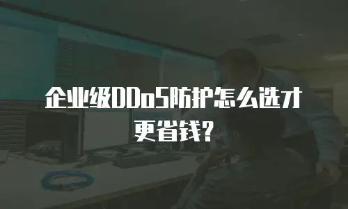企业级DDoS防护怎么选才更省钱？