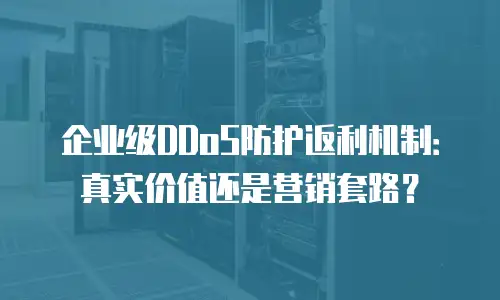 企业级DDoS防护返利机制：真实价值还是营销套路？