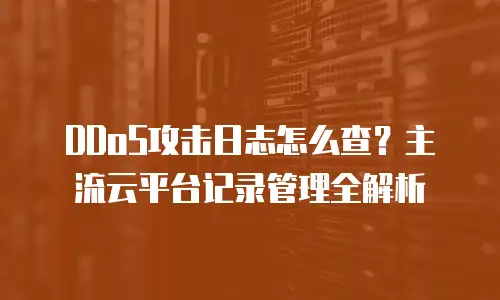 DDoS攻击日志怎么查？主流云平台记录管理全解析