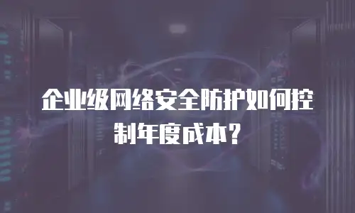 企业级网络安全防护如何控制年度成本？