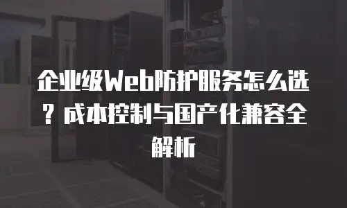 企业级Web防护服务怎么选？成本控制与国产化兼容全解析