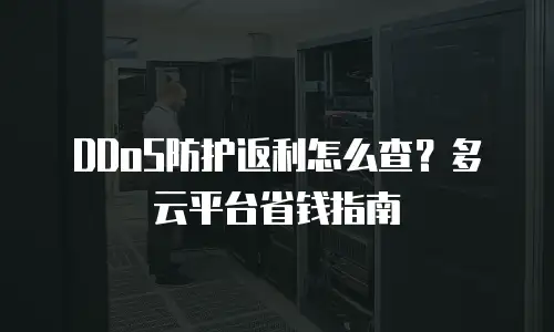 DDoS防护返利怎么查？多云平台省钱指南