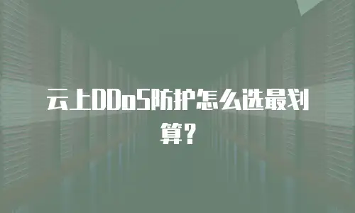 云上DDoS防护怎么选最划算？