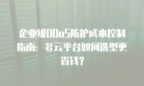 企业级DDoS防护成本控制指南：多云平台如何选型更省钱？