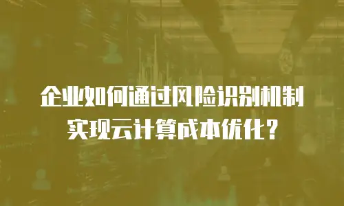 企业如何通过风险识别机制实现云计算成本优化？