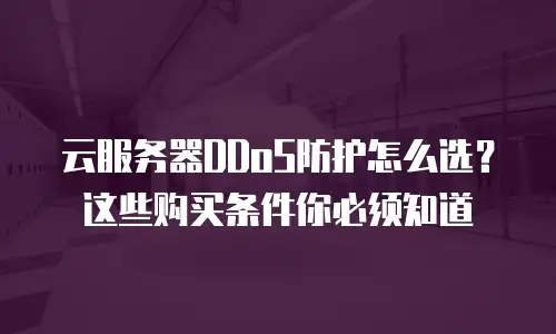 云服务器DDoS防护怎么选？这些购买条件你必须知道