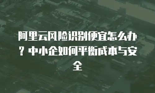 阿里云风险识别便宜怎么办？中小企如何平衡成本与安全
