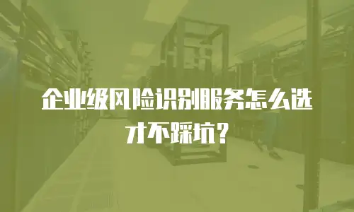 企业级风险识别服务怎么选才不踩坑？
