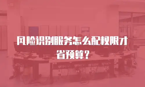 风险识别服务怎么配权限才省预算？