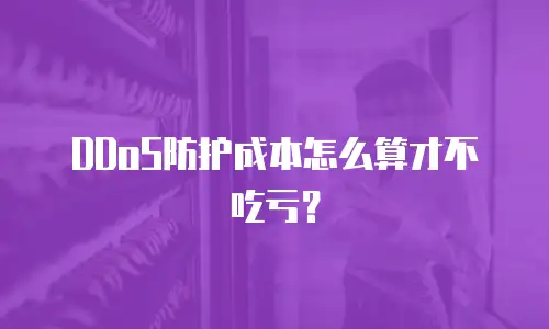 DDoS防护成本怎么算才不吃亏？