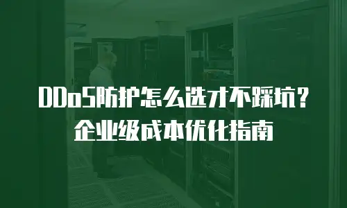 DDoS防护怎么选才不踩坑？企业级成本优化指南