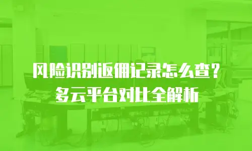 风险识别返佣记录怎么查？多云平台对比全解析