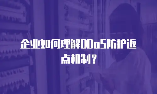 企业如何理解DDoS防护返点机制？