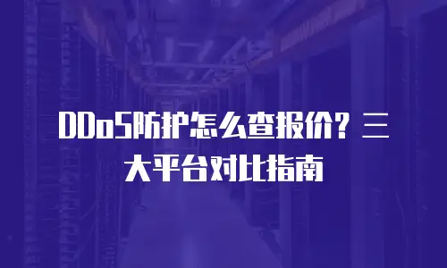 DDoS防护怎么查报价？三大平台对比指南