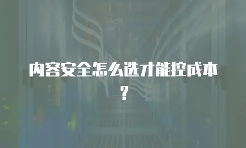 内容安全怎么选才能控成本？