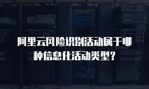 阿里云风险识别活动属于哪种信息化活动类型？