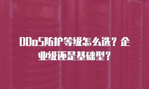 DDoS防护等级怎么选？企业级还是基础型？